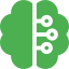brain
